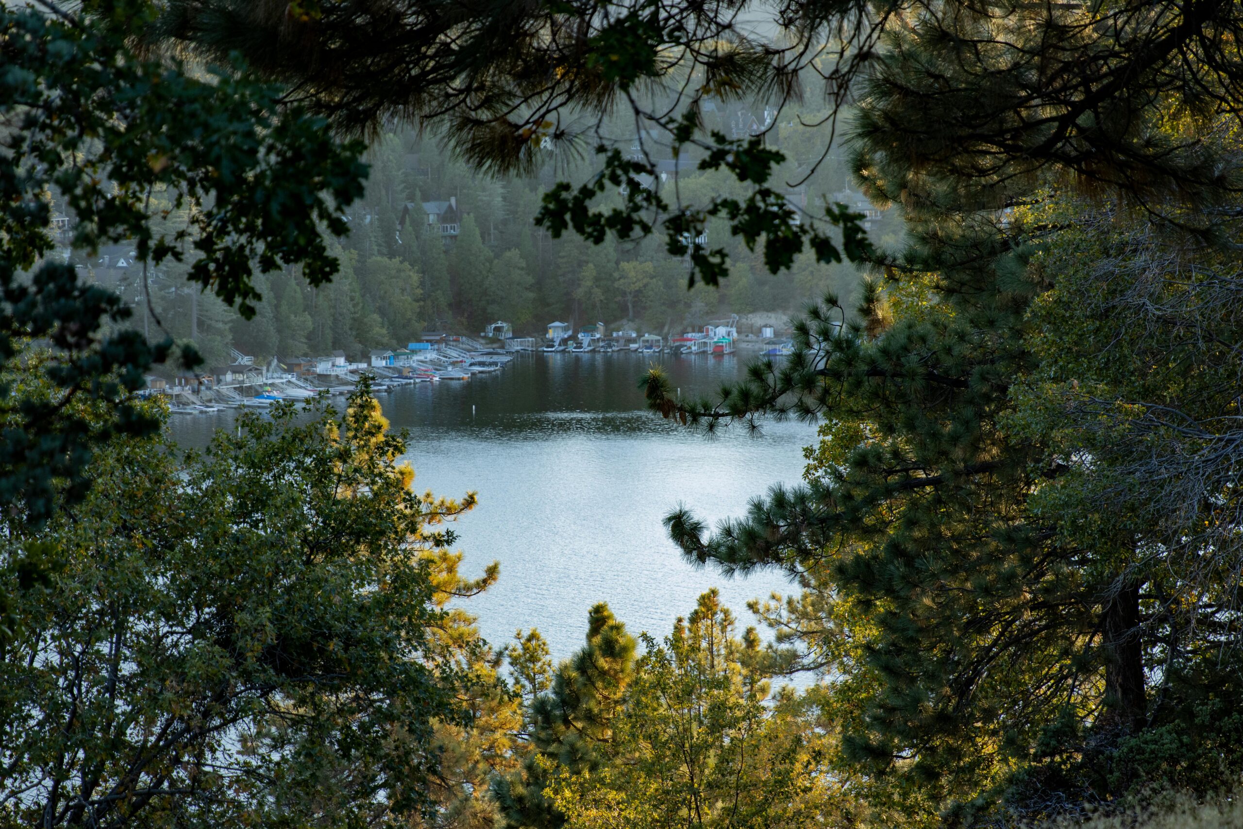 View of Lake Arrowhead peeking through shrubs on a sunny day.